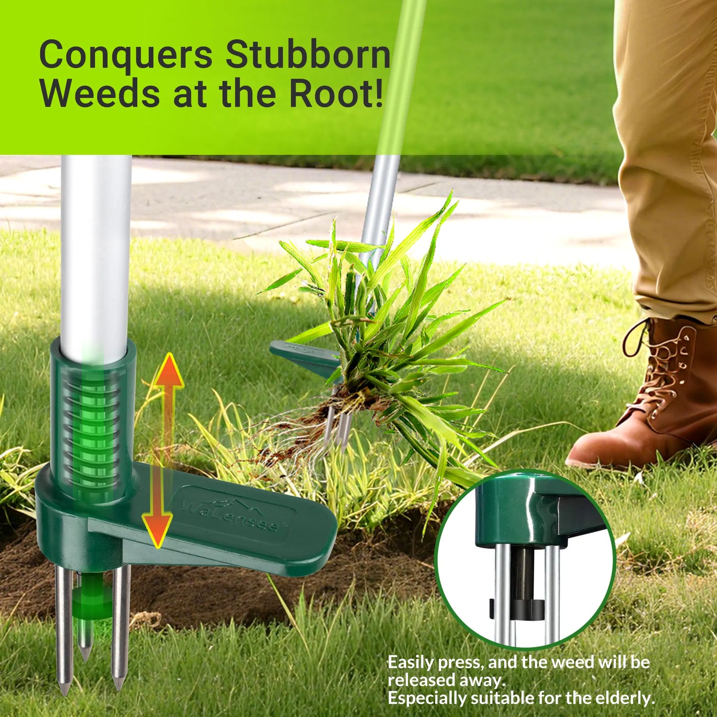 Walensee Stand-Up Lawn Root Puller for Dandelions & Deep-Root Plants — No-Bend Design, Perfect for Homeowners & Fall Yard Care, Black Friday Deal